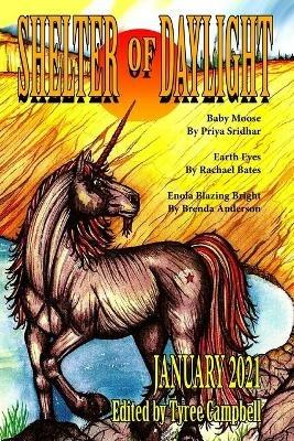 Shelter of Daylight January 2021 - cover