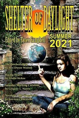 Shelter of Daylight Summer 2021 - cover