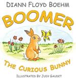 Boomer The Curious Bunny