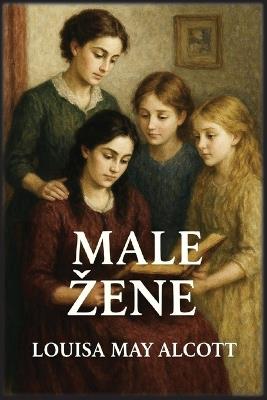 Male zene - Louisa May Alcott - cover