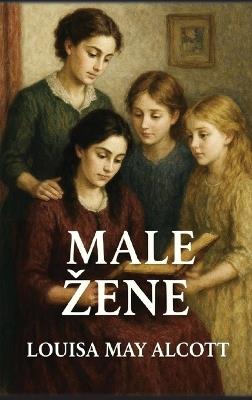 Male zene - Louisa May Alcott - cover