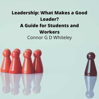 Leadership: What Makes a Good Leader?