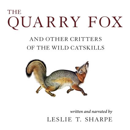 Quarry Fox, The