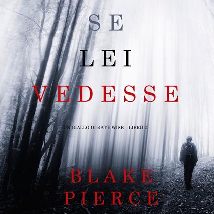 Se lei vedesse (Un giallo di Kate Wise – Libro 2)