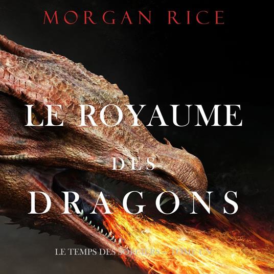 Le Royaume des Dragons (Le Temps des Sorciers — Tome Un)