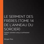 Le Serment des Frères (Tome 14 de L’anneau Du Sorcier)