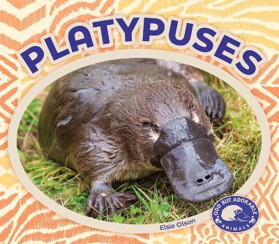 Platypuses - Elsie Olson - cover