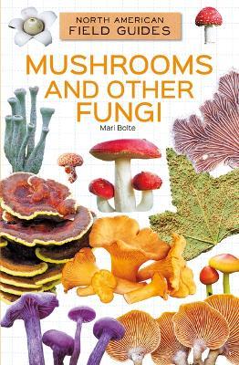Mushrooms and Other Fungi - Mari Bolte - cover