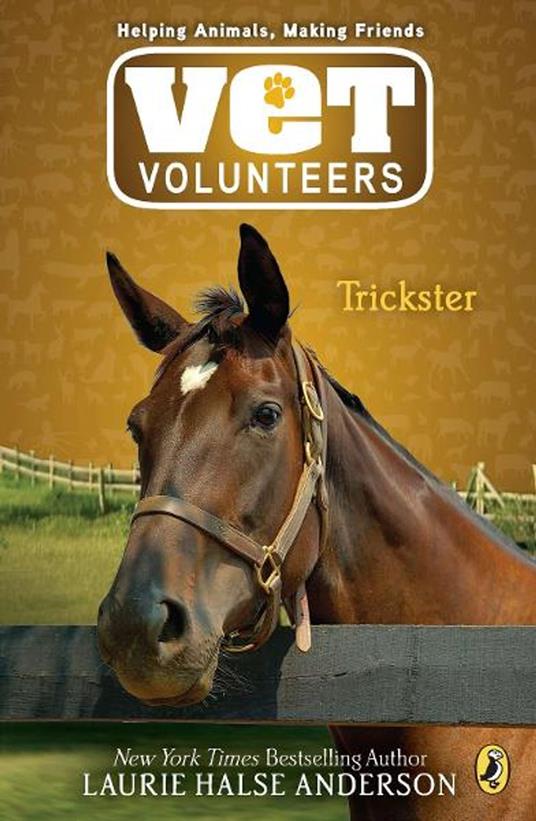 Trickster - Halse Anderson Laurie - ebook