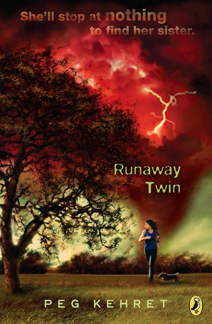 Runaway Twin - Peg Kehret - ebook