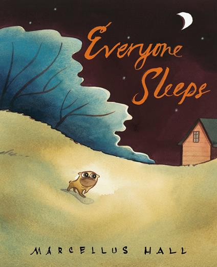 Everyone Sleeps - Hall, Marcellus - ebook