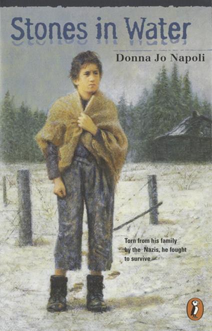 Stones in Water - Donna Jo Napoli - ebook