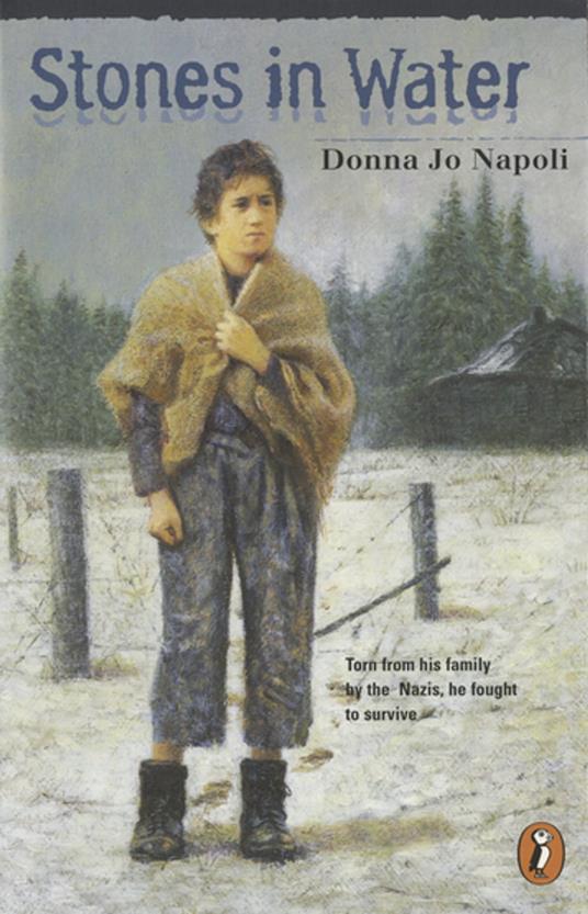 Stones in Water - Donna Jo Napoli - ebook