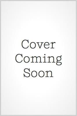 A Perfect Hand: A Novel - Ayelet Waldman - cover