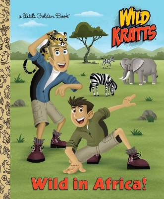 ibs