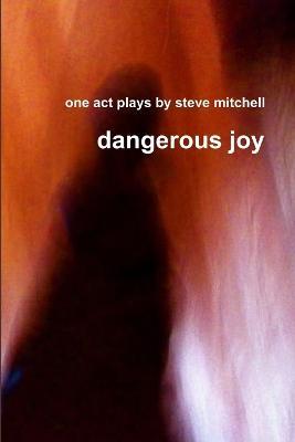 Dangerous Joy - steve mitchell - cover