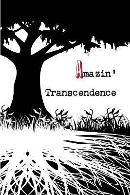 Amazin' Transcendence - Jeremy Adams - cover