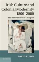 Irish Culture and Colonial Modernity 1800–2000: The Transformation of Oral Space - David Lloyd - cover