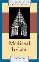 Medieval Ireland - Clare Downham - cover