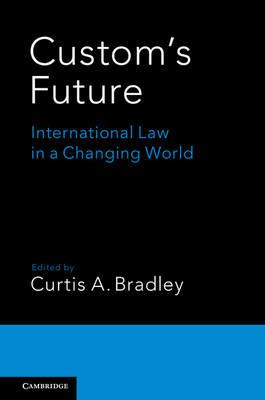 Custom's Future: International Law in a Changing World - cover