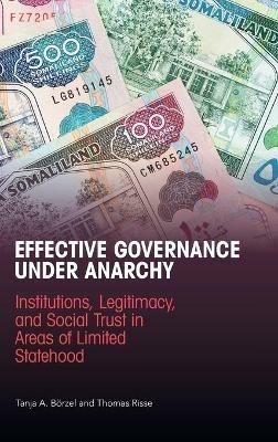 Effective Governance Under Anarchy: Institutions, Legitimacy, and Social Trust in Areas of Limited Statehood - Tanja A. Börzel,Thomas Risse - cover