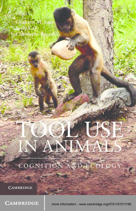 Tool Use in Animals