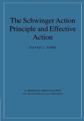 The Schwinger Action Principle and Effective Action - David J. Toms - cover