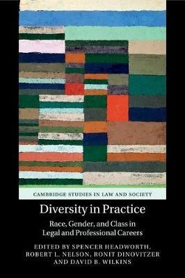 Diversity in Practice: Race, Gender, and Class in Legal and Professional Careers - cover