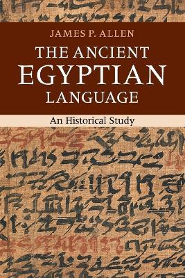 The Ancient Egyptian Language: An Historical Study - James P. Allen - cover