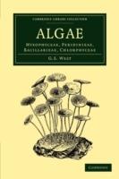 Algae: Volume 1, Myxophyceae, Peridinieae, Bacillarieae, Chlorphyceae - G. S. West - cover