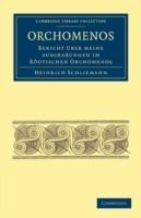 Orchomenos: Bericht UEber Meine Ausgrabungen im Boeotischen Orchomenos - Heinrich Schliemann - cover