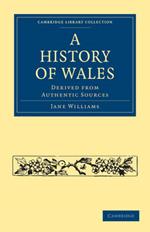 A History of Wales: Derived from Authentic Sources