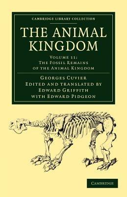 The Animal Kingdom: Arranged in Conformity with its Organization - Georges Cuvier - cover