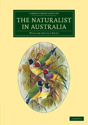 The Naturalist in Australia - William Saville-Kent - cover