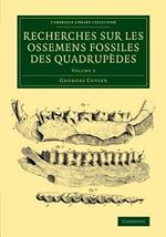 Recherches sur les ossemens fossiles des quadrupedes