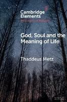 God, Soul and the Meaning of Life - Thaddeus Metz - cover