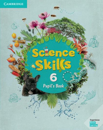 Science Skills Level 6 Pupil's Book - cover