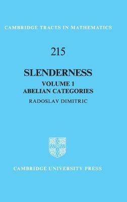 Slenderness: Volume 1, Abelian Categories - Radoslav Dimitric - cover