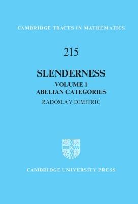 Slenderness: Volume 1, Abelian Categories - Radoslav Dimitric - cover