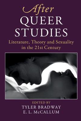 After Queer Studies: Literature, Theory and Sexuality in the 21st Century - cover