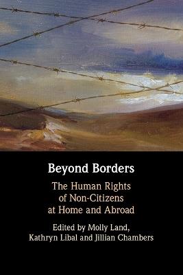 Beyond Borders: The Human Rights of Non-Citizens at Home and Abroad - cover