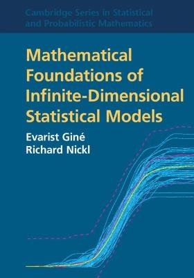 Mathematical Foundations of Infinite-Dimensional Statistical Models - Evarist Gine,Richard Nickl - cover