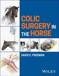 Colic Surgery in the Horse