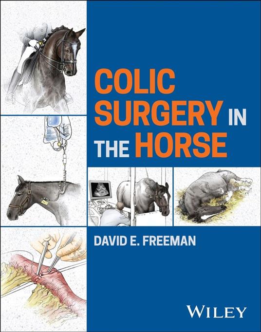 Colic Surgery in the Horse