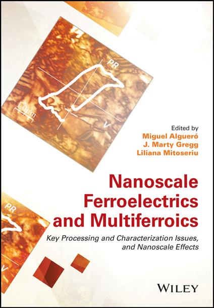 Nanoscale Ferroelectrics and Multiferroics