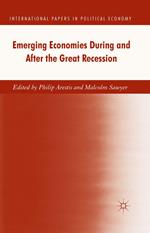 Emerging Economies During and After the Great Recession