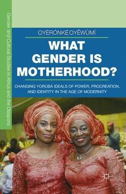 What Gender is Motherhood?: Changing Yorùbá Ideals of Power, Procreation, and Identity in the Age of Modernity - Oyèrónkẹ́ Oyěwùmí - cover