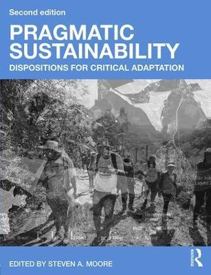 Pragmatic Sustainability: Dispositions for Critical Adaptation - cover