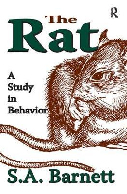 The Rat: A Study in Behavior - S. A. Barnett - cover
