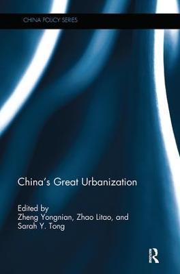 China's Great Urbanization - cover